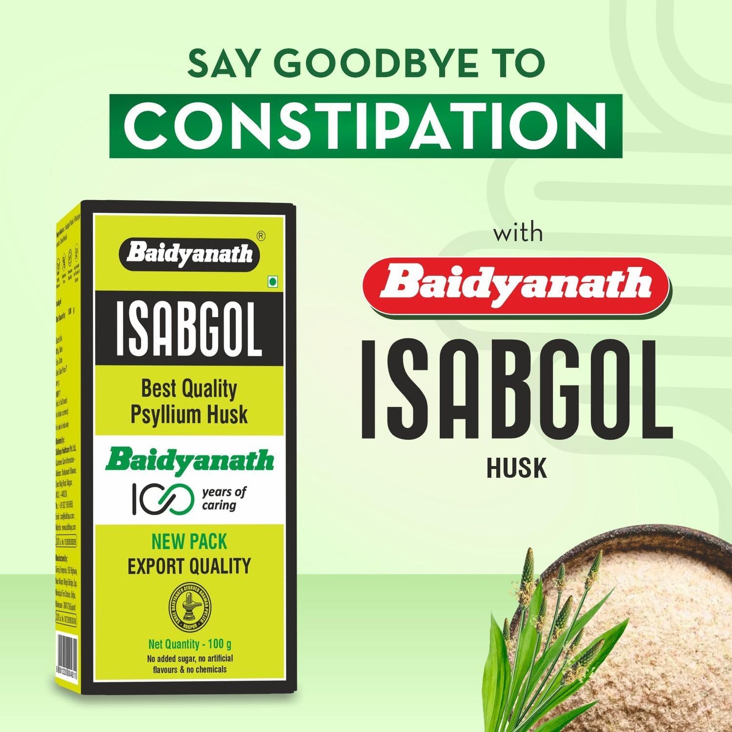 Baidyanath Isabgol - Psyllium Husk Powder 100gm