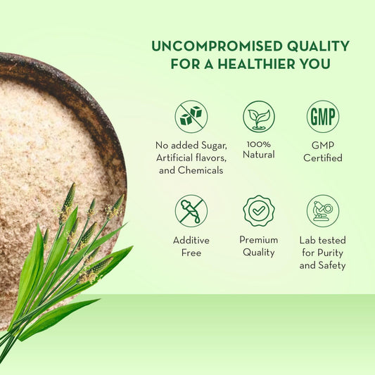 Baidyanath Isabgol - Psyllium Husk Powder 100gm